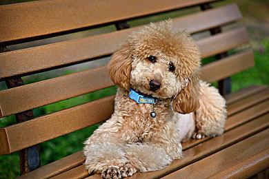 《钢铁之心》在IMDB被差评轰炸 主角没有任何英雄气概